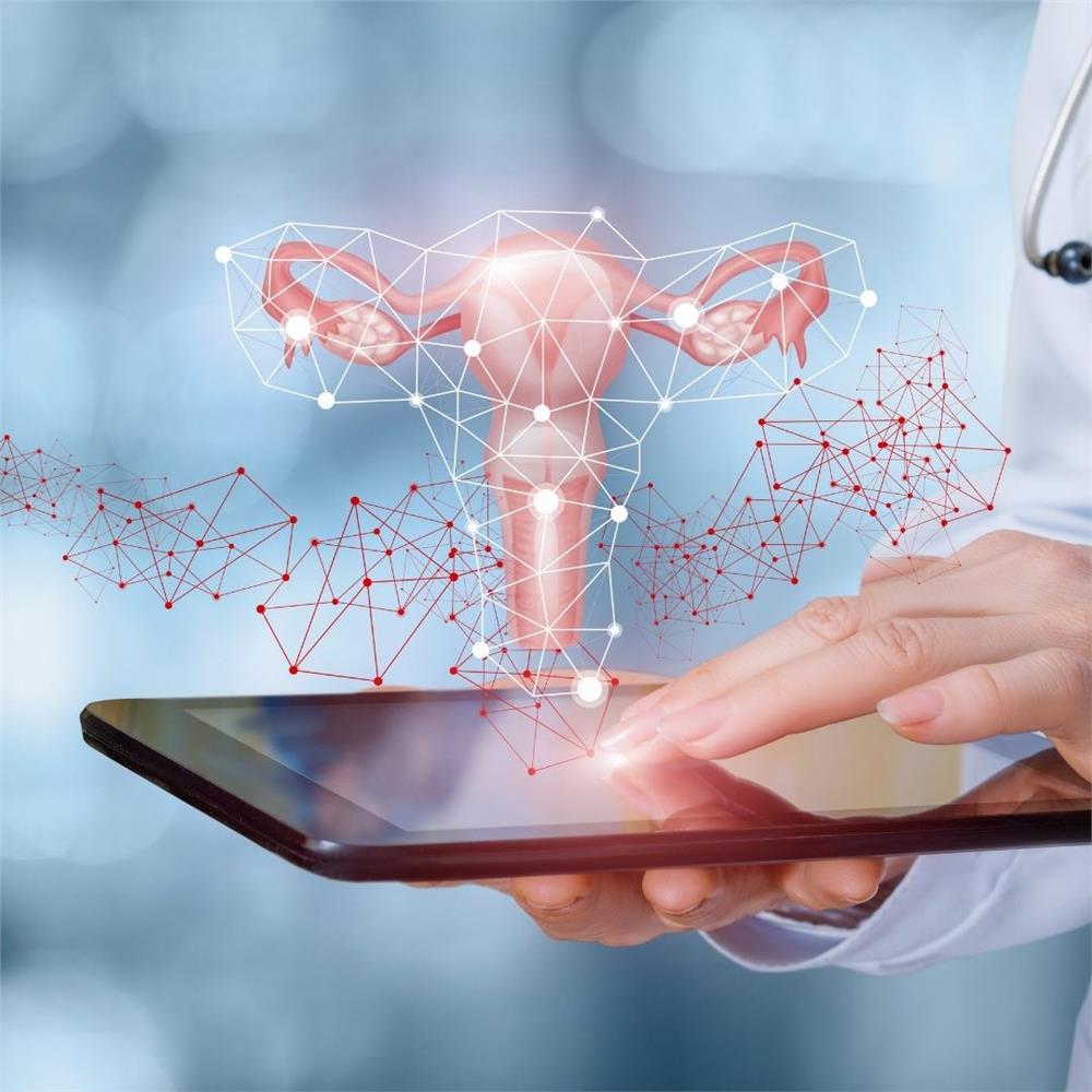 Doktor rahim duvarı kalınlaşması illüzyonunu tabletten gösteriyor.